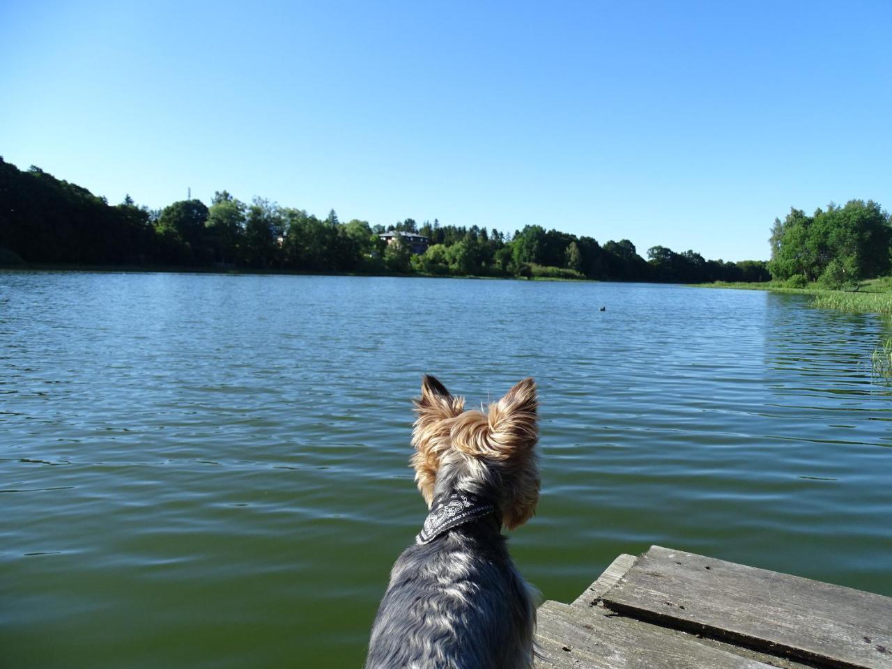Wysockie Zacisze Lodger Gdańsk