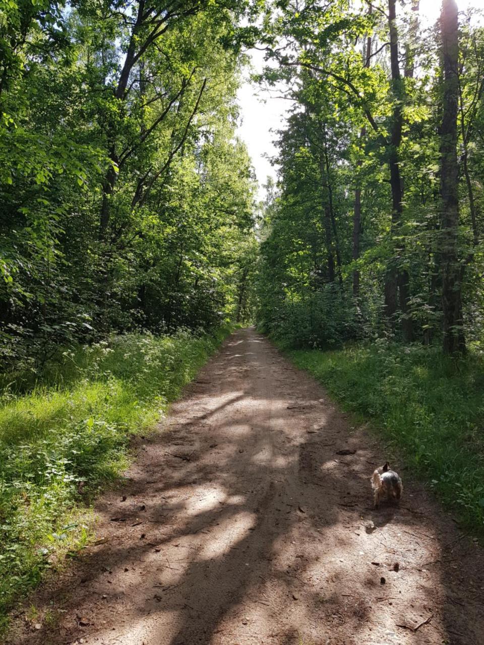 Wysockie Zacisze Lodger Gdańsk